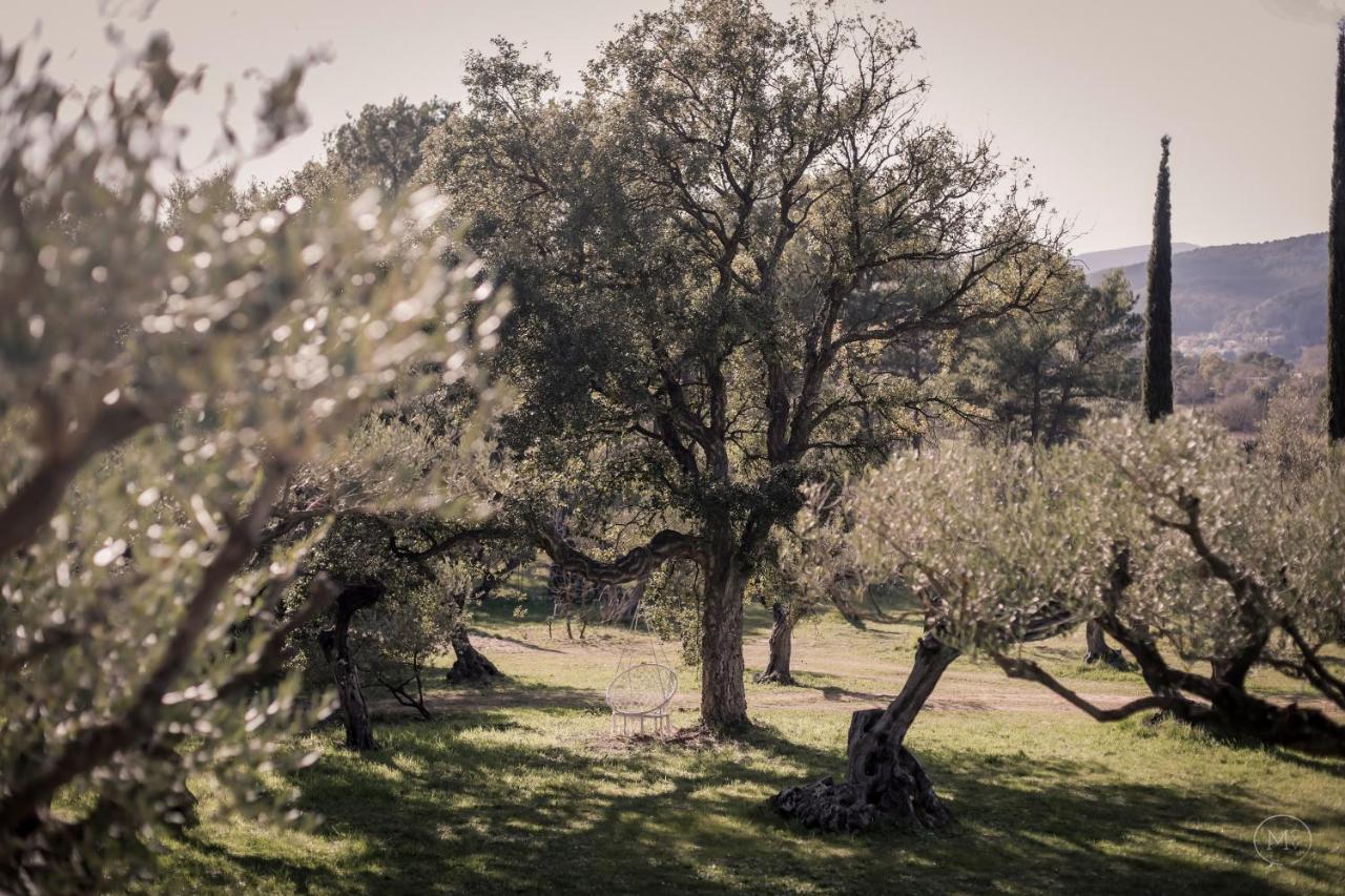 Les Hauts De Diane, Cuers Var Exteriér fotografie