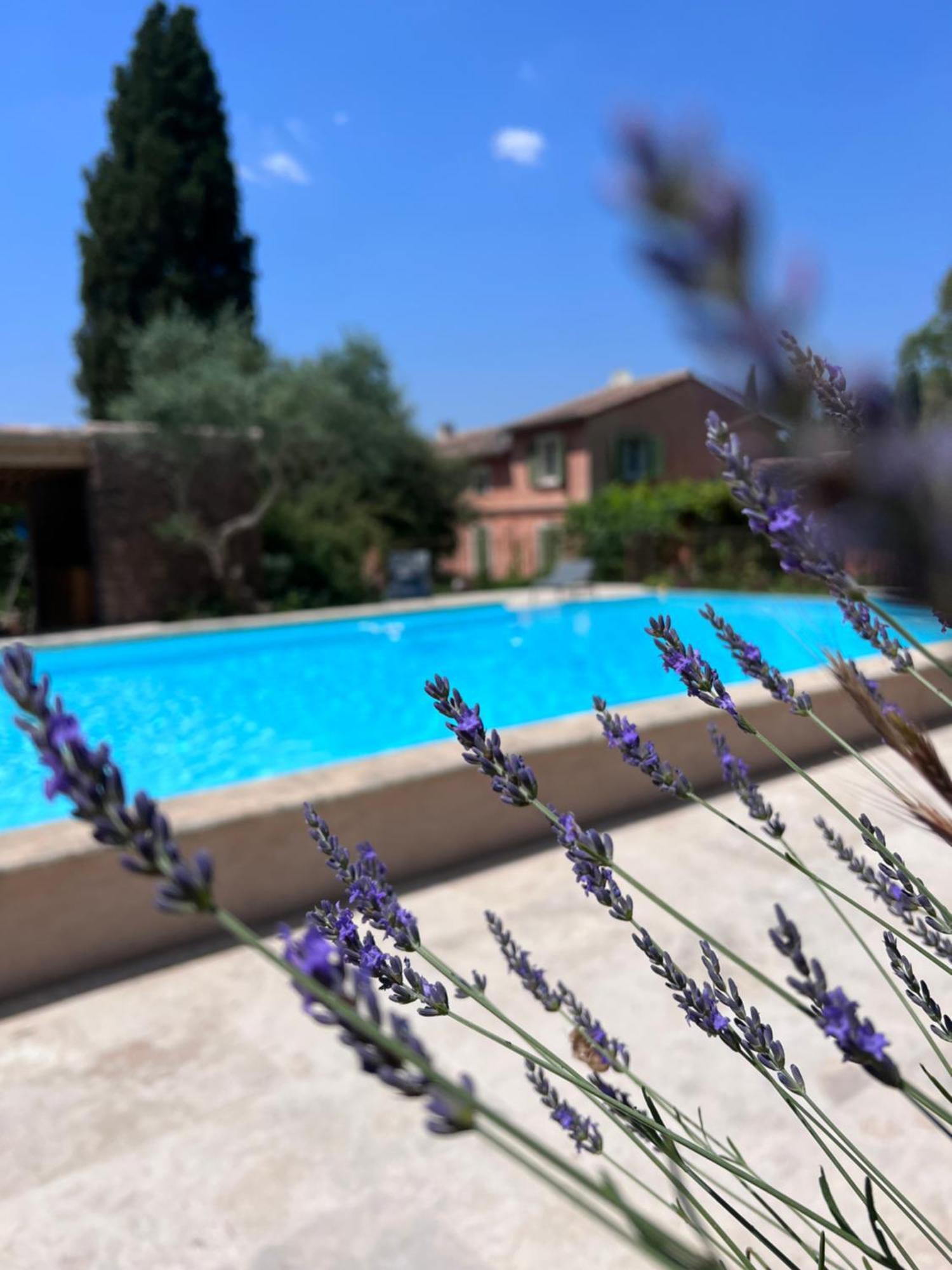 Les Hauts De Diane, Cuers Var Exteriér fotografie